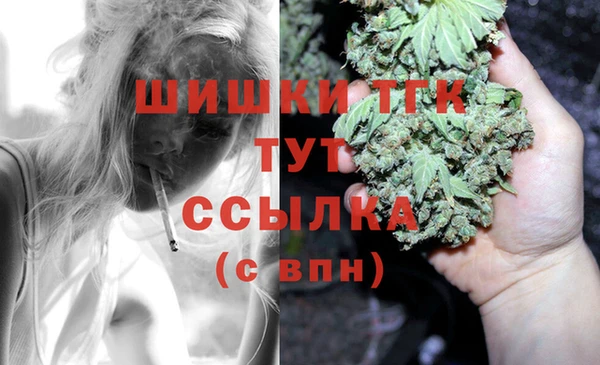 гидропоника Абаза