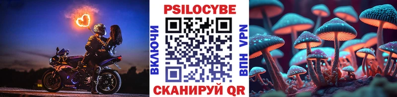 Галлюциногенные грибы MAGIC MUSHROOMS  закладки  Касимов 